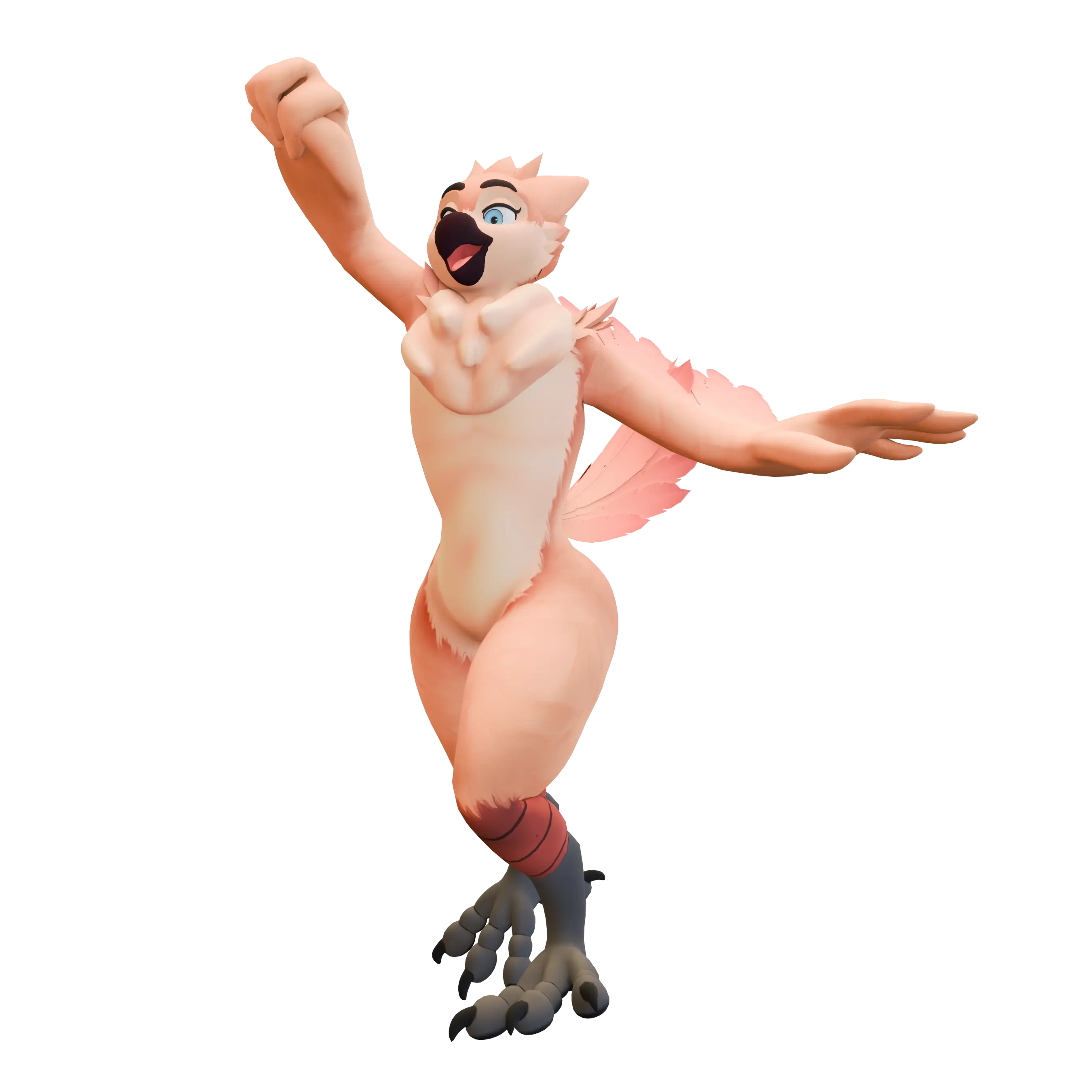 Bird Model