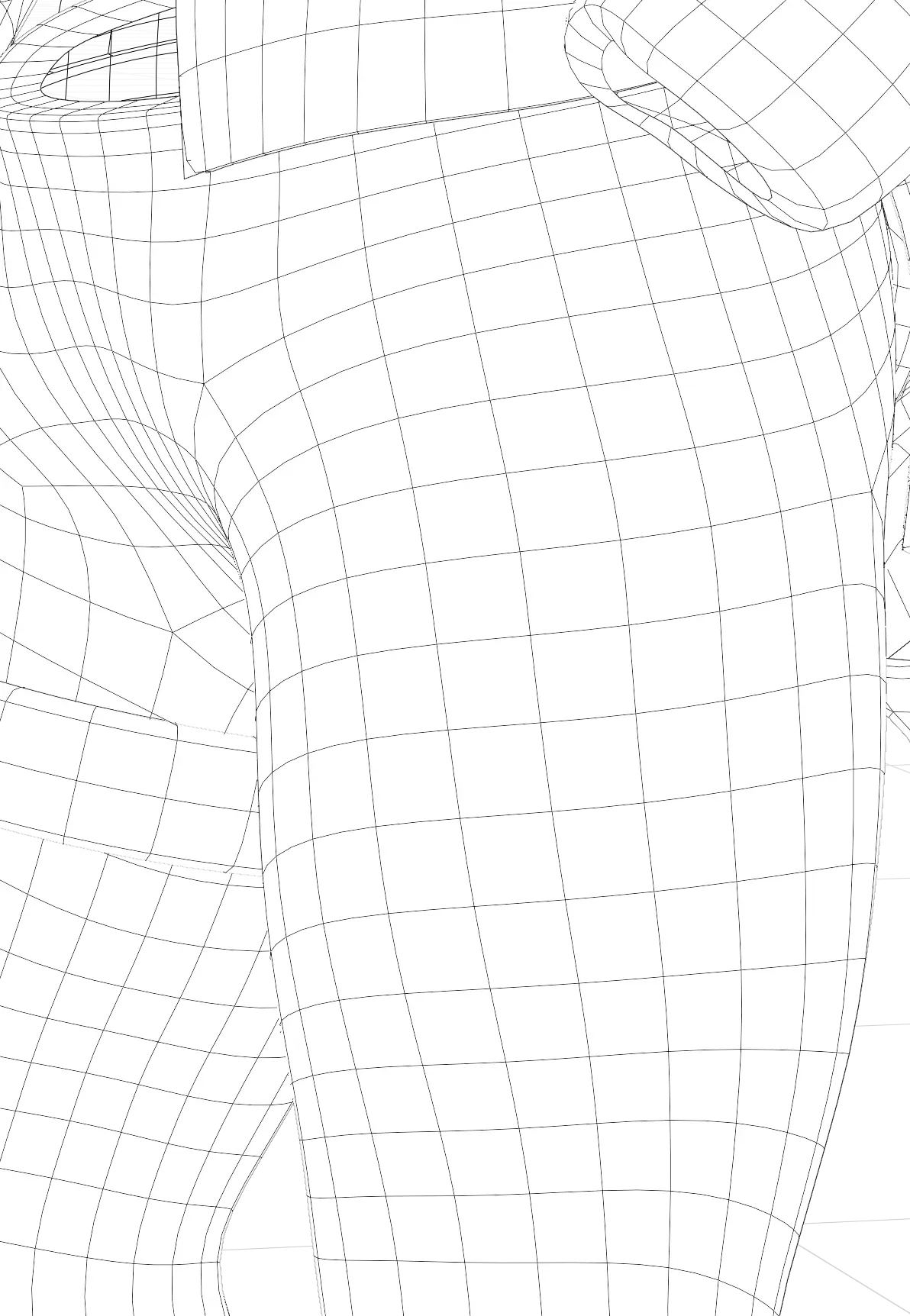 Closeup Pants Wireframe